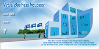 Virtual Business Incubator